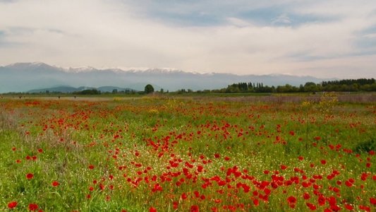 აპრილი