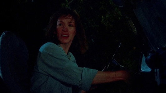 The Texas Chainsaw Massacre Part 2