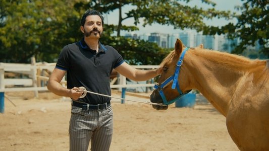 O Cavalo de Pedro