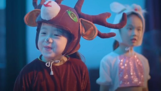 你好，树公主