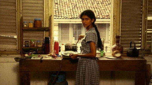තනි තටුවෙන් පියාඹන්න
