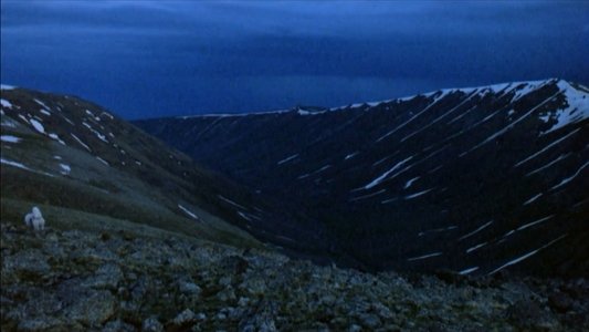 Ավետիք