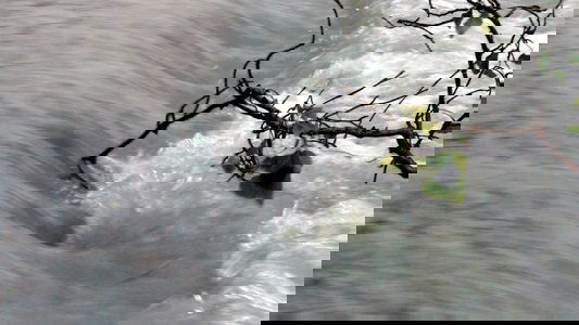 Il Fiume, A Ritroso