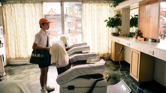 老狐狸