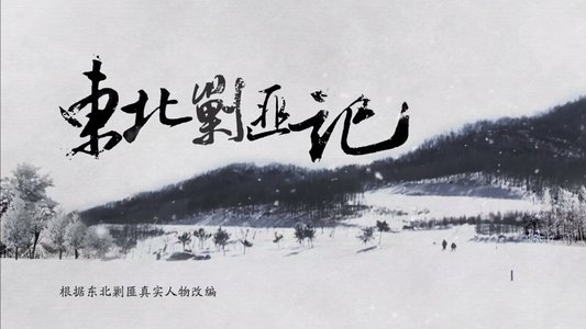 东北剿匪记