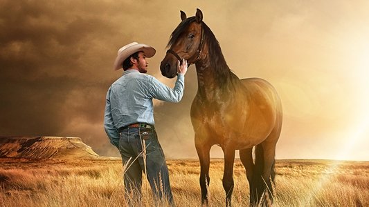 Baixar Domando o Destino Torrent (2018) Dual Áudio 5.1 / Dublado BluRay 720p | 1080p Download