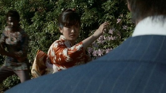 Sister Street Fighter: Fifth Level Fist on FREECABLE TV