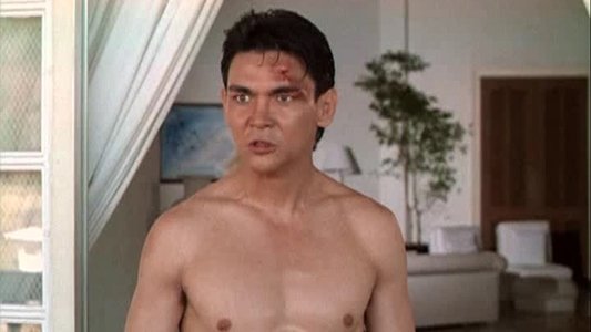 Bloodfist II on FREECABLE TV