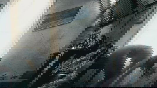 The Day on FREECABLE TV