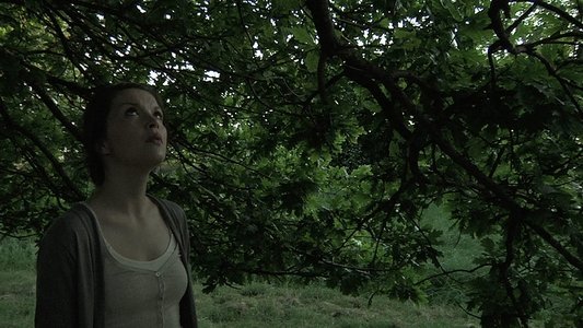 Hollow on FREECABLE TV