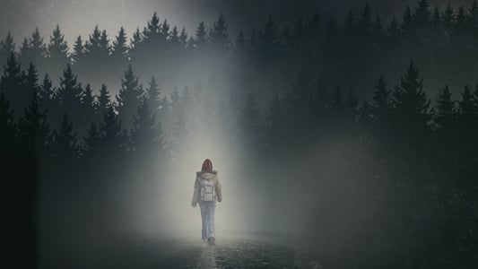 2017 The Girl In The Fog