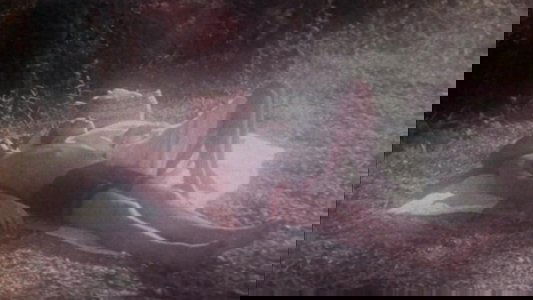 Encounter with the unknown on FREECABLE TV