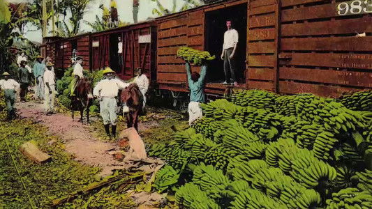 image: La loi de la banane