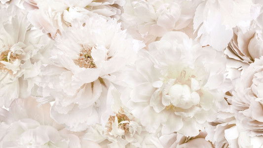 image: A Wedding to Die For (Deadly Vows)