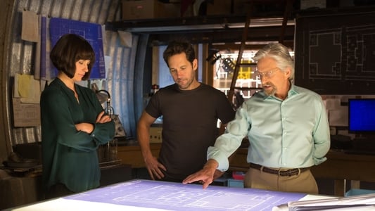 Ant Man And The Wasp 2018 — The Movie Database Tmdb 