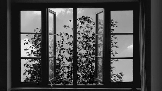 image: 24 Frames