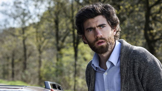 image: The Return of the Honey Buzzard