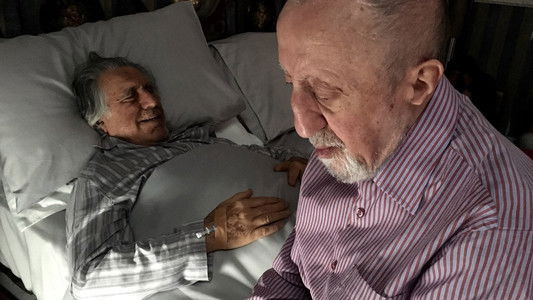 image: Chi salverà le rose?