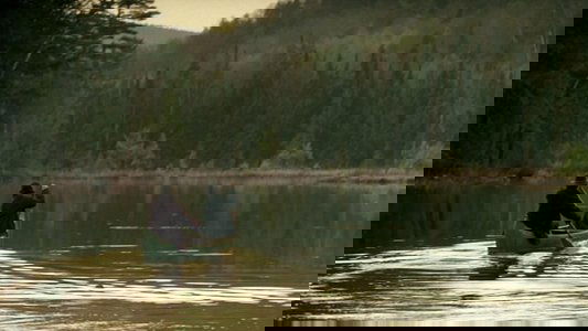 Disappearances on FREECABLE TV