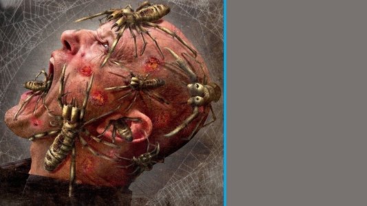 Camel Spiders on FREECABLE TV