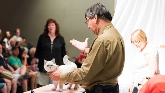 Catwalk: Tales from the Catshow Circuit