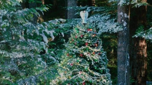 image: Angel of Christmas