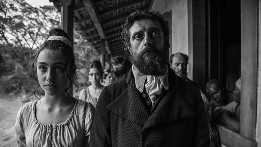 image: Vazante
