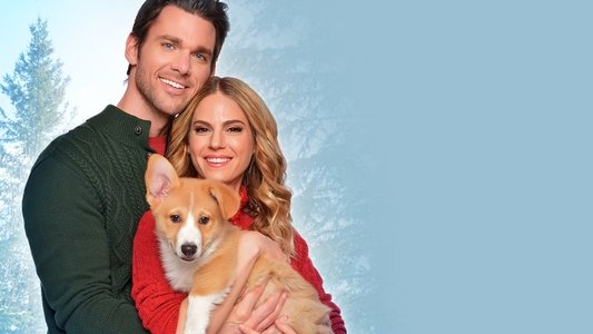 A Very Corgi Christmas on FREECABLE TV