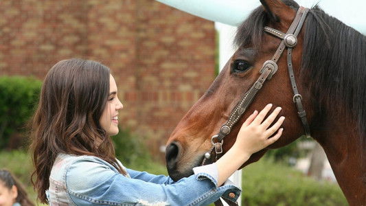 image: A Cowgirl's Story