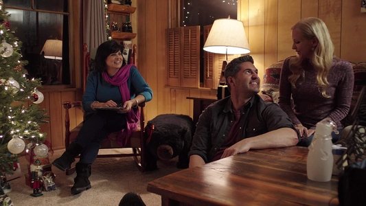 A Holiday Boyfriend on FREECABLE TV