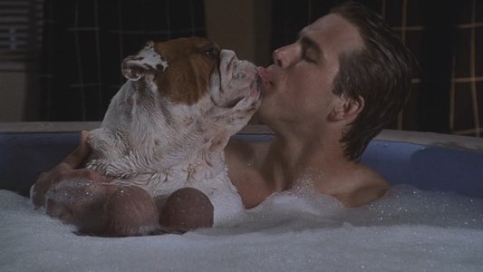 National Lampoon's Van Wilder on FREECABLE TV