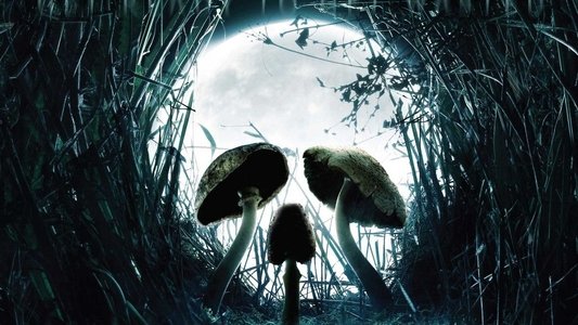 Shrooms on FREECABLE TV