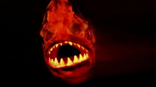 Piranha - La morte viene dall'acqua