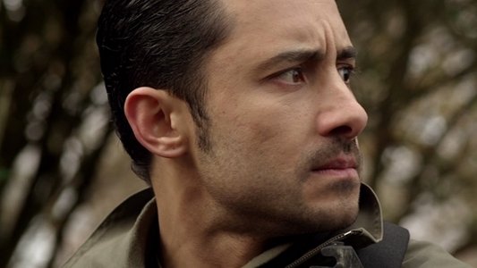 Mercenaries on FREECABLE TV