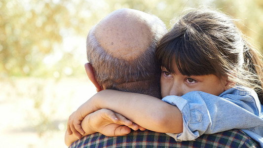 image: The Olive Tree