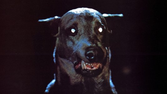 Distribution De The Power Of The Dog Zoltan, le chien sanglant de Dracula (1978) — The Movie Database (TMDb)