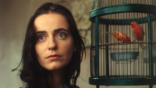 Abraham's Valley (1993)