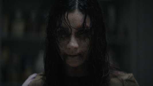 Evil Dead Burn