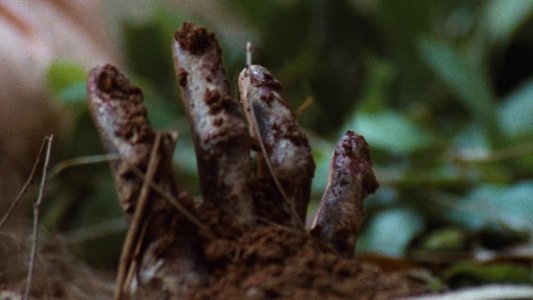 Zombie Flesh Eaters