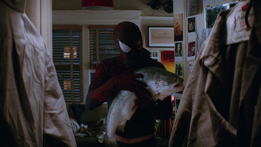 The Amazing Spider-Man 2