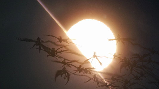 Avatar: Fire and Ash