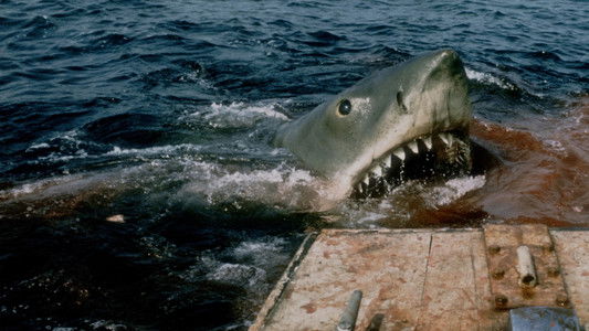 Jaws