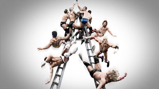 WWE Money in the Bank 2013