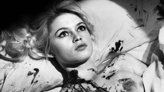 Love Is My Profession