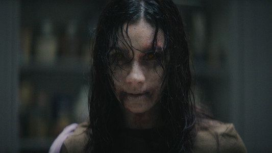 Evil Dead Burn