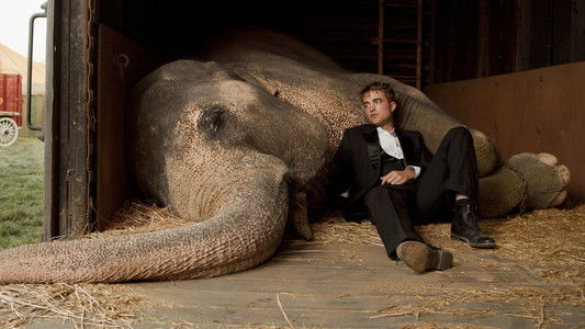 Water for Elephants