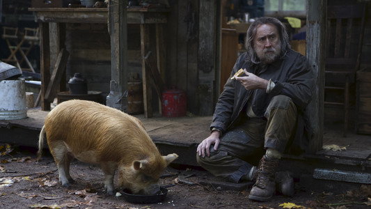 Pig