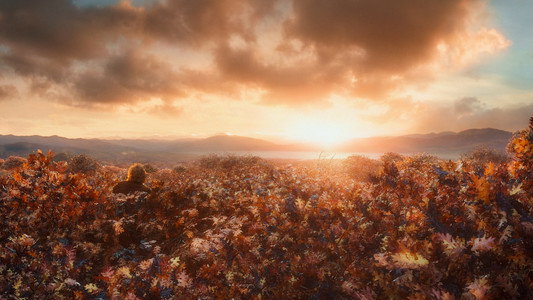 The Hobbit: The Desolation of Smaug