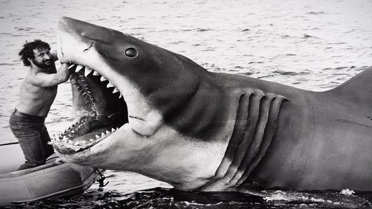 Jaws @ 50: The Definitive Inside Story