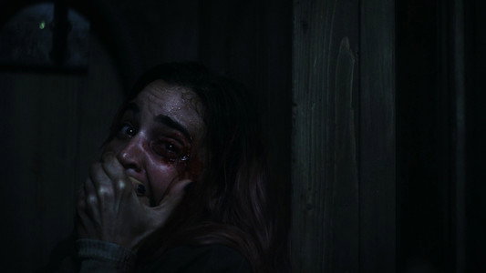 Evil Dead Burn